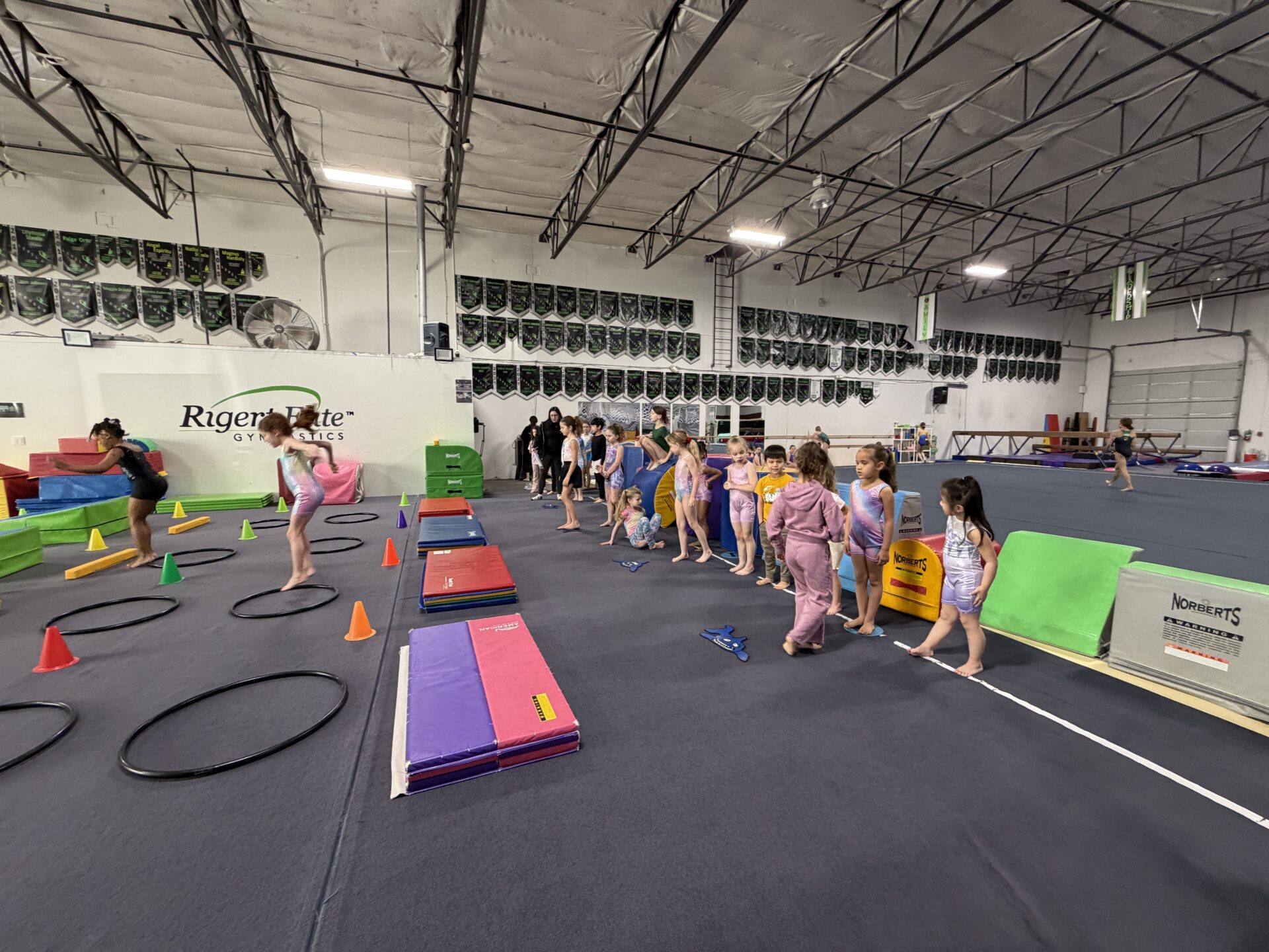 Children lined up for gymnastics obstacle course